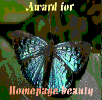 Homepage beauty award