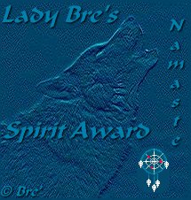 Spirit award