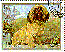 Lhasa Apso Stamp