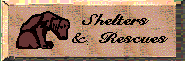 Rescues  Shelters